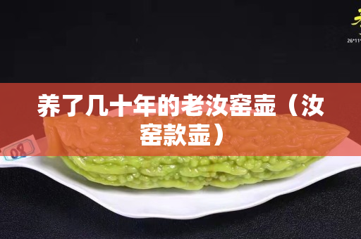養了幾十年的老汝窯壺（汝窯款壺）