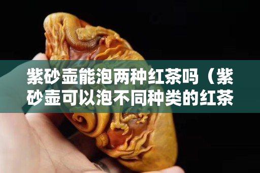 紫砂壺能泡兩種紅茶嗎（紫砂壺可以泡不同種類的紅茶嗎）