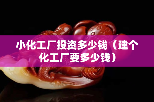小化工廠投資多少錢（建個(gè)化工廠要多少錢）