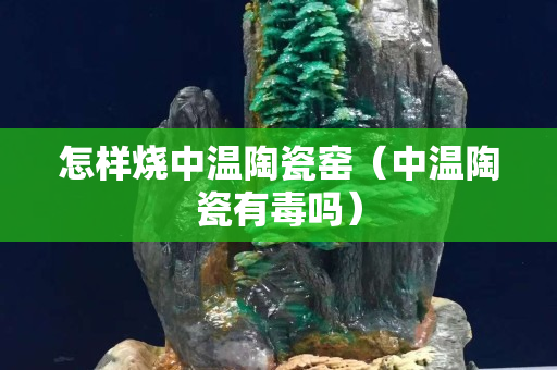 怎樣燒中溫陶瓷窯（中溫陶瓷有毒嗎）