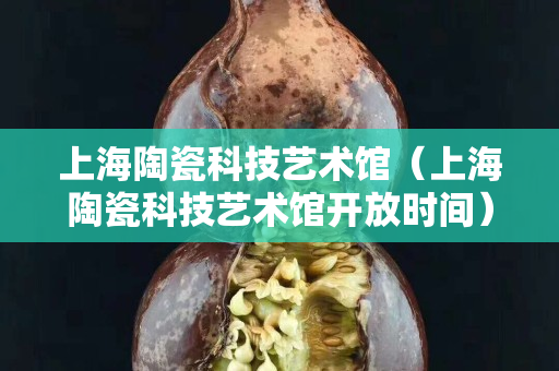 上海陶瓷科技藝術館（上海陶瓷科技藝術館開放時間）