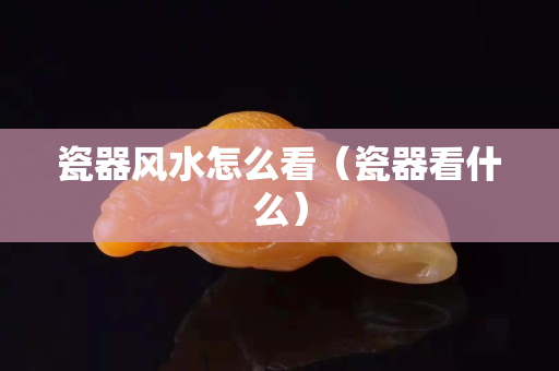 瓷器風水怎么看（瓷器看什么）