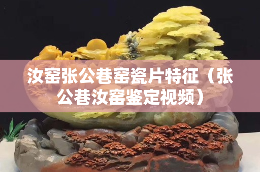 汝窯張公巷窯瓷片特征（張公巷汝窯鑒定視頻）