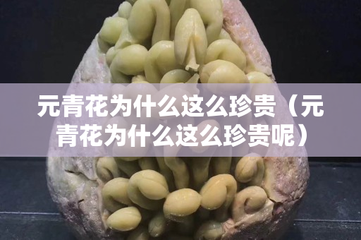 元青花為什么這么珍貴（元青花為什么這么珍貴呢）