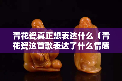 青花瓷真正想表達什么（青花瓷這首歌表達了什么情感）