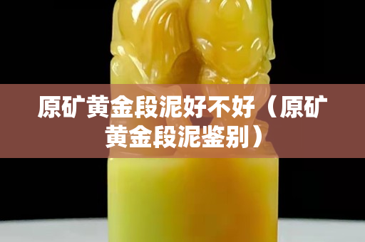 原礦黃金段泥好不好（原礦黃金段泥鑒別）