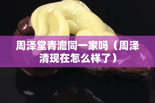 周澤堂青澹同一家嗎（周澤清現在怎么樣了）