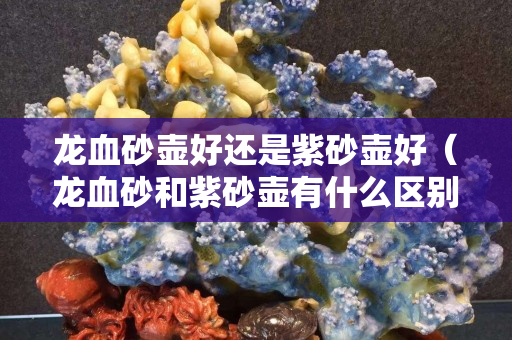 龍血砂壺好還是紫砂壺好（龍血砂和紫砂壺有什么區(qū)別）