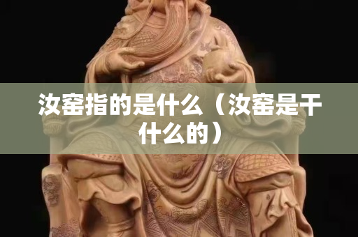 汝窯指的是什么（汝窯是干什么的）