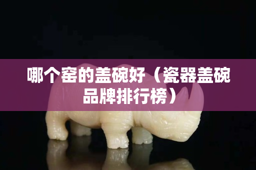 哪個窯的蓋碗好（瓷器蓋碗品牌排行榜）