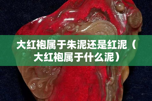 大紅袍屬于朱泥還是紅泥（大紅袍屬于什么泥）