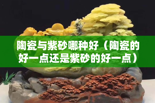 陶瓷與紫砂哪種好（陶瓷的好一點還是紫砂的好一點）