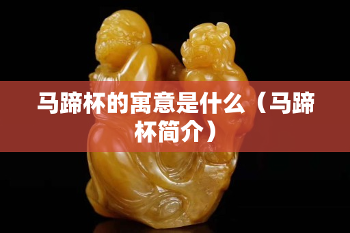 馬蹄杯的寓意是什么（馬蹄杯簡介）
