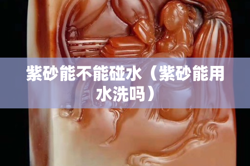 紫砂能不能碰水（紫砂能用水洗嗎）