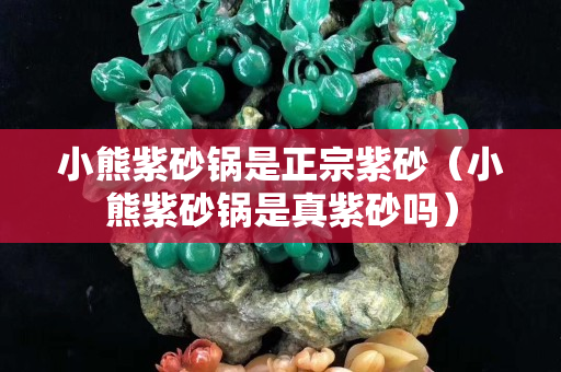 小熊紫砂鍋是正宗紫砂（小熊紫砂鍋是真紫砂嗎）