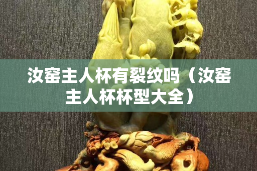 汝窯主人杯有裂紋嗎（汝窯主人杯杯型大全）