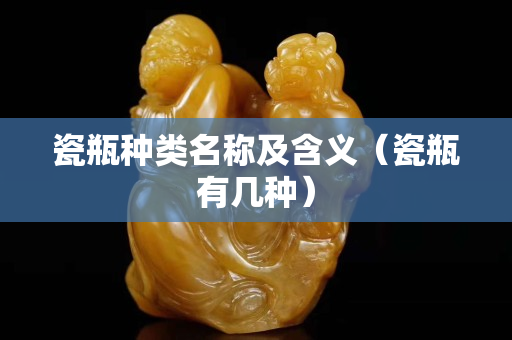 瓷瓶種類名稱及含義（瓷瓶有幾種）