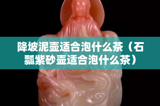 降坡泥壺適合泡什么茶（石瓢紫砂壺適合泡什么茶）