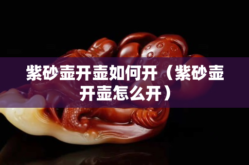 紫砂壺開壺如何開（紫砂壺開壺怎么開）