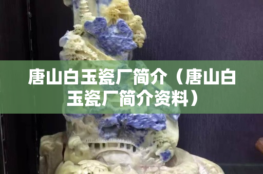 唐山白玉瓷廠簡介（唐山白玉瓷廠簡介資料）