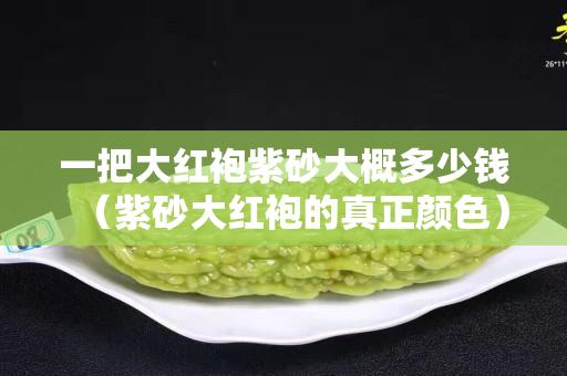 一把大紅袍紫砂大概多少錢（紫砂大紅袍的真正顏色）