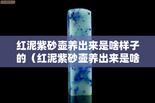 紅泥紫砂壺養出來是啥樣子的（紅泥紫砂壺養出來是啥樣子的啊）