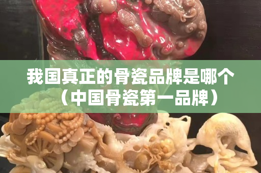 我國真正的骨瓷品牌是哪個（中國骨瓷第一品牌）