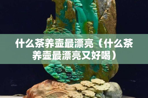什么茶養壺最漂亮（什么茶養壺最漂亮又好喝）