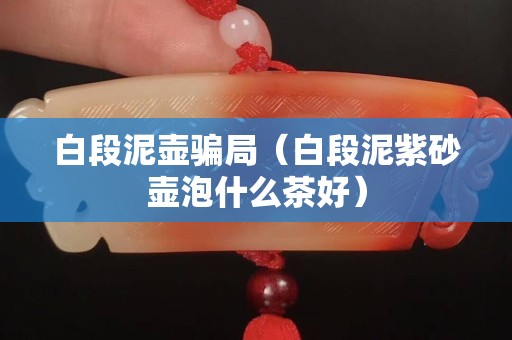 白段泥壺騙局（白段泥紫砂壺泡什么茶好）