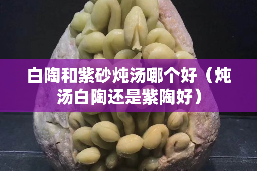 白陶和紫砂燉湯哪個好（燉湯白陶還是紫陶好）
