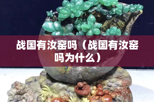 戰國有汝窯嗎（戰國有汝窯嗎為什么）