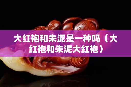 大紅袍和朱泥是一種嗎（大紅袍和朱泥大紅袍）