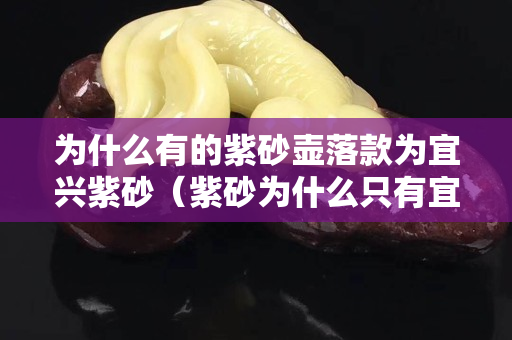 為什么有的紫砂壺落款為宜興紫砂（紫砂為什么只有宜興）