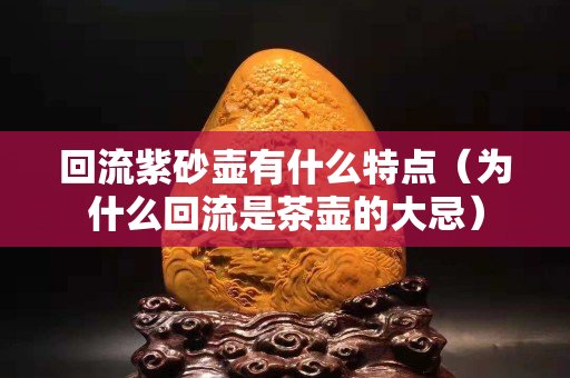 回流紫砂壺有什么特點（為什么回流是茶壺的大忌）