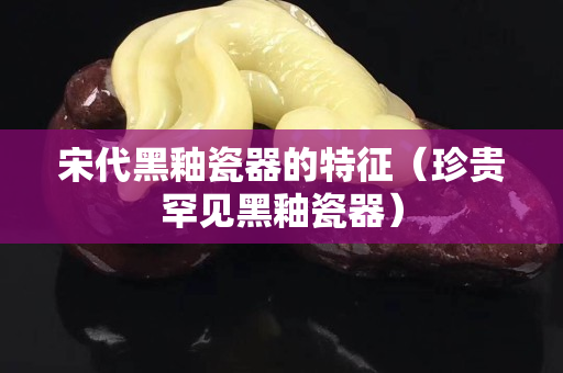 宋代黑釉瓷器的特征（珍貴罕見黑釉瓷器）