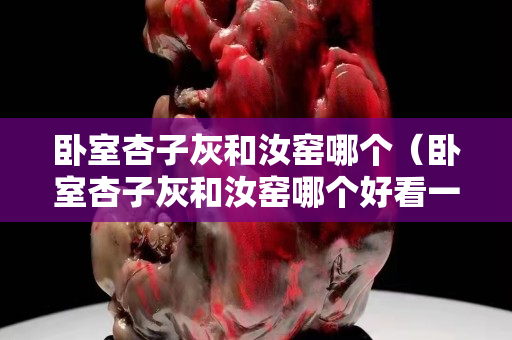 臥室杏子灰和汝窯哪個（臥室杏子灰和汝窯哪個好看一點）