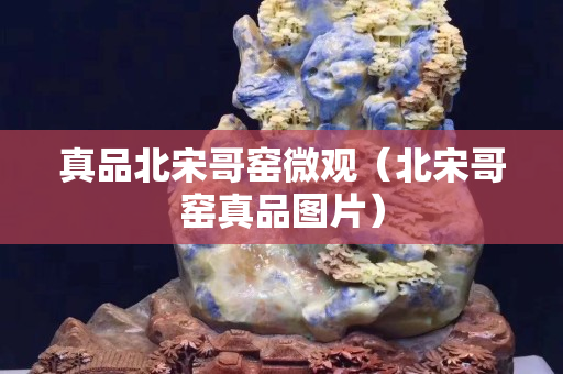 真品北宋哥窯微觀（北宋哥窯真品圖片）
