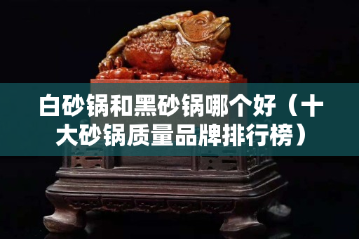 白砂鍋和黑砂鍋哪個好（十大砂鍋質(zhì)量品牌排行榜）