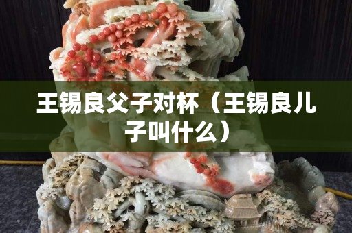 王錫良父子對杯（王錫良兒子叫什么）