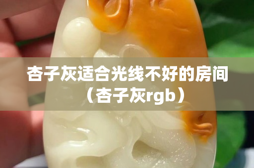 杏子灰適合光線不好的房間（杏子灰rgb）