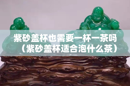 紫砂蓋杯也需要一杯一茶嗎（紫砂蓋杯適合泡什么茶）