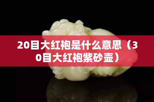 20目大紅袍是什么意思（30目大紅袍紫砂壺）