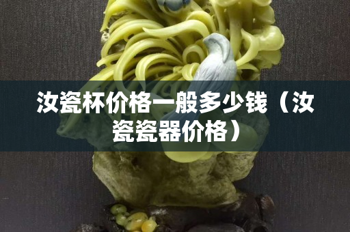 汝瓷杯價格一般多少錢（汝瓷瓷器價格）
