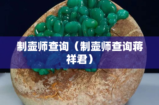 制壺師查詢（制壺師查詢蔣祥君）