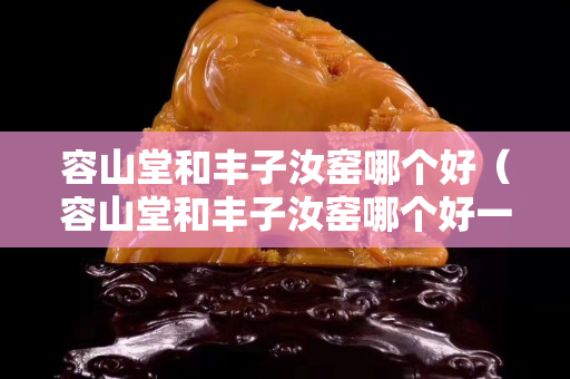 容山堂和豐子汝窯哪個好（容山堂和豐子汝窯哪個好一點(diǎn)）