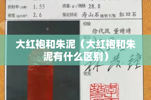 大紅袍和朱泥（大紅袍和朱泥有什么區(qū)別）