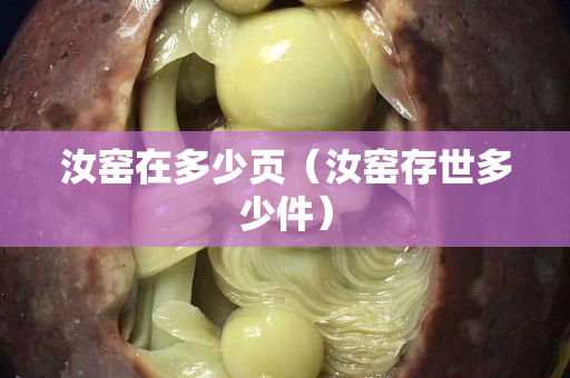 汝窯在多少頁（汝窯存世多少件）