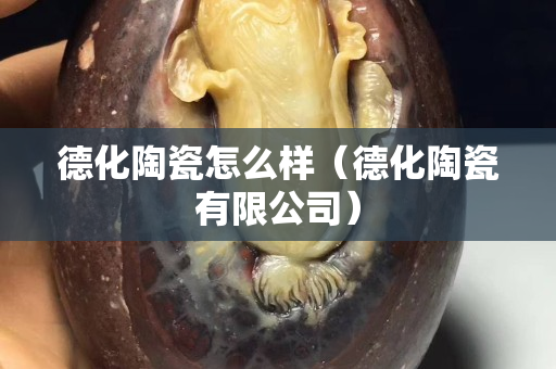 德化陶瓷怎么樣（德化陶瓷有限公司）