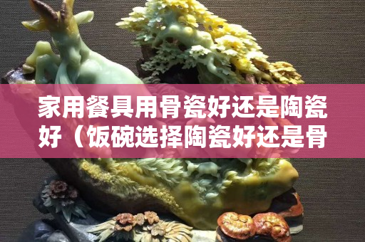 家用餐具用骨瓷好還是陶瓷好（飯碗選擇陶瓷好還是骨瓷好）