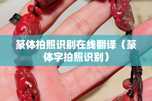 篆體拍照識別在線翻譯（篆體字拍照識別）
